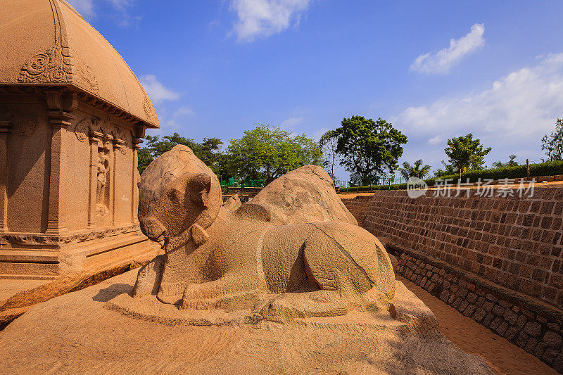 印度的Mahabalipuram - Nandi公牛behind Arjuna的Ratha